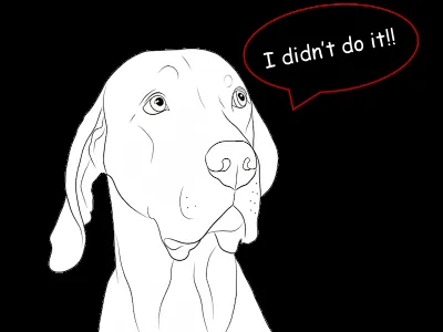 I didn't do it!!