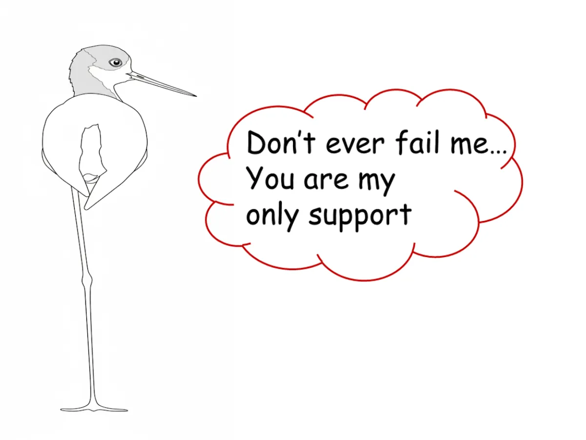 Lack of sociability-single support